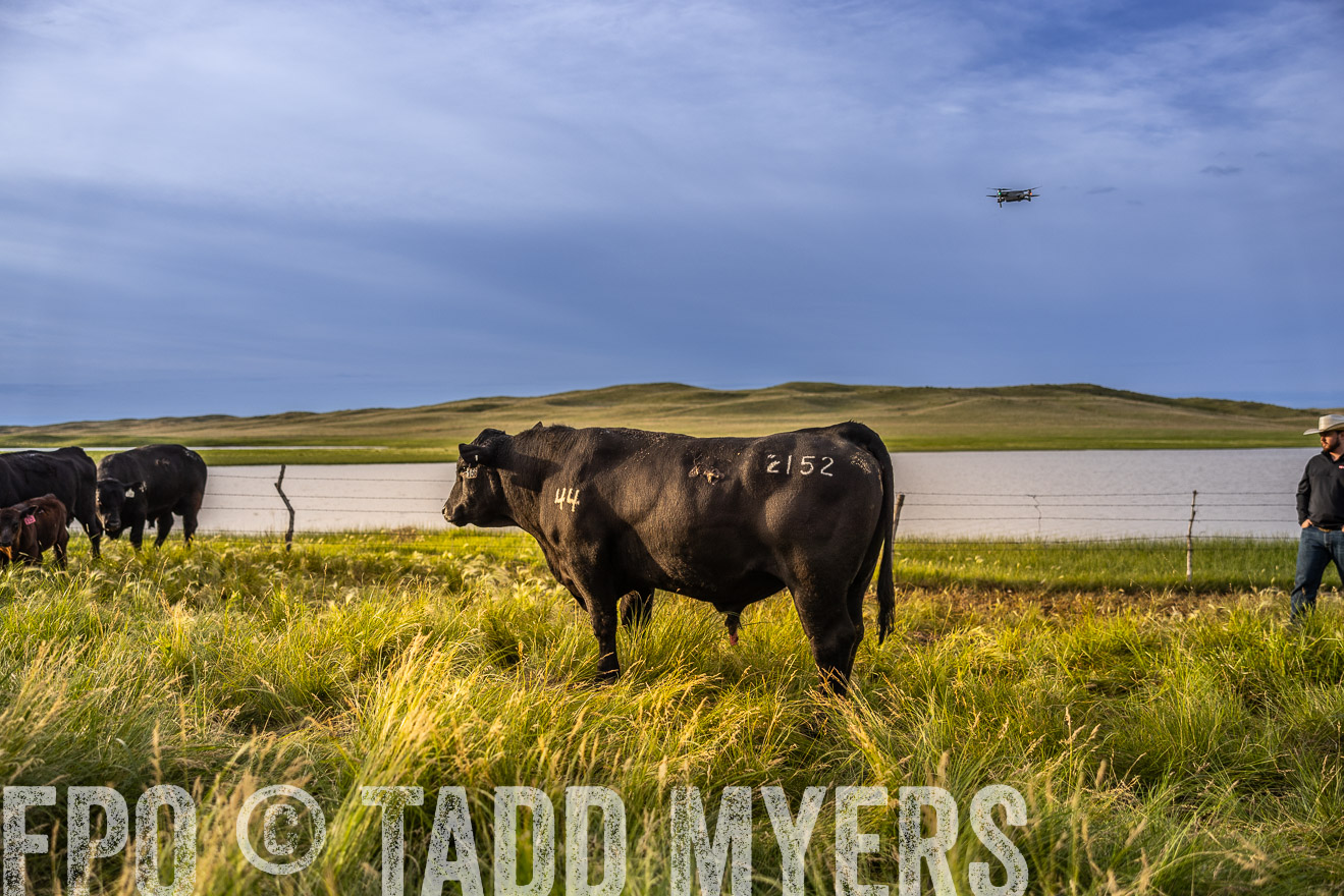 TMyers_PP_VintonRanch_Nebraska_June2024-518167