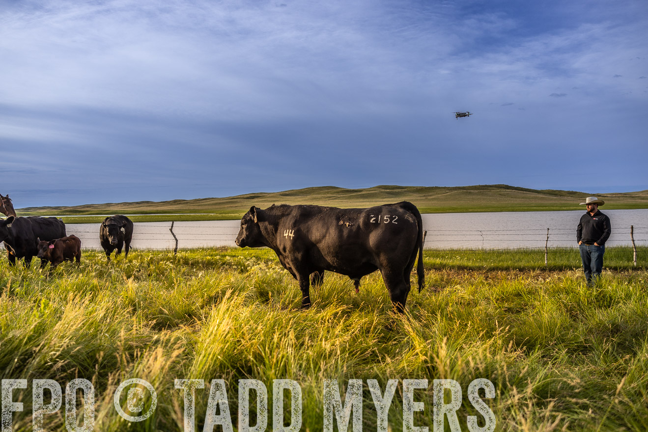 TMyers_PP_VintonRanch_Nebraska_June2024-518168