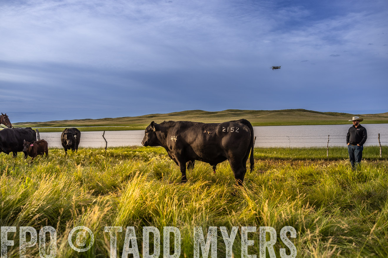 TMyers_PP_VintonRanch_Nebraska_June2024-518169