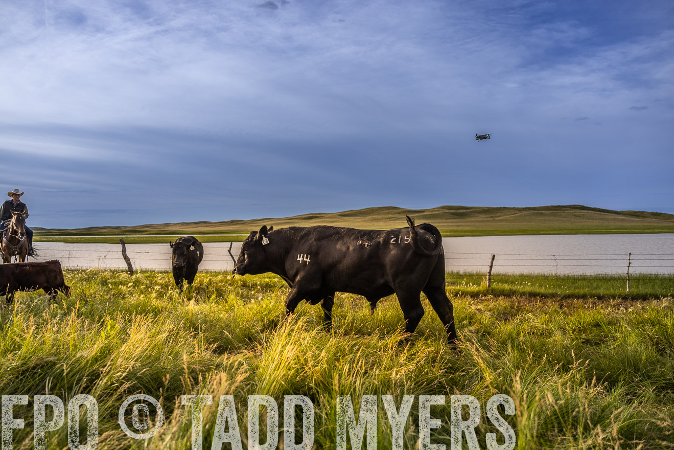 TMyers_PP_VintonRanch_Nebraska_June2024-518175