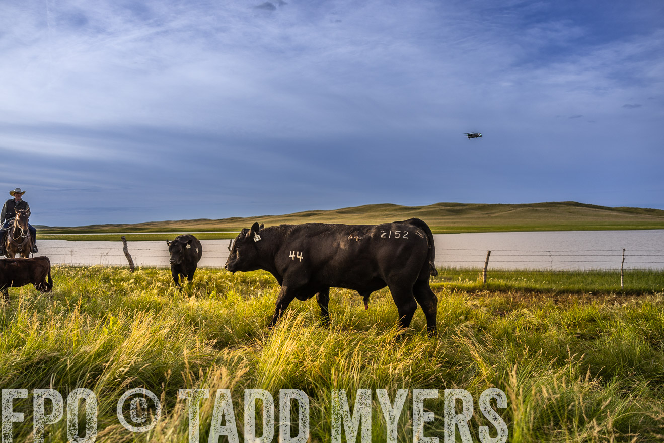 TMyers_PP_VintonRanch_Nebraska_June2024-518176