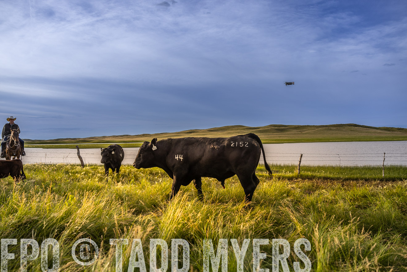 TMyers_PP_VintonRanch_Nebraska_June2024-518177