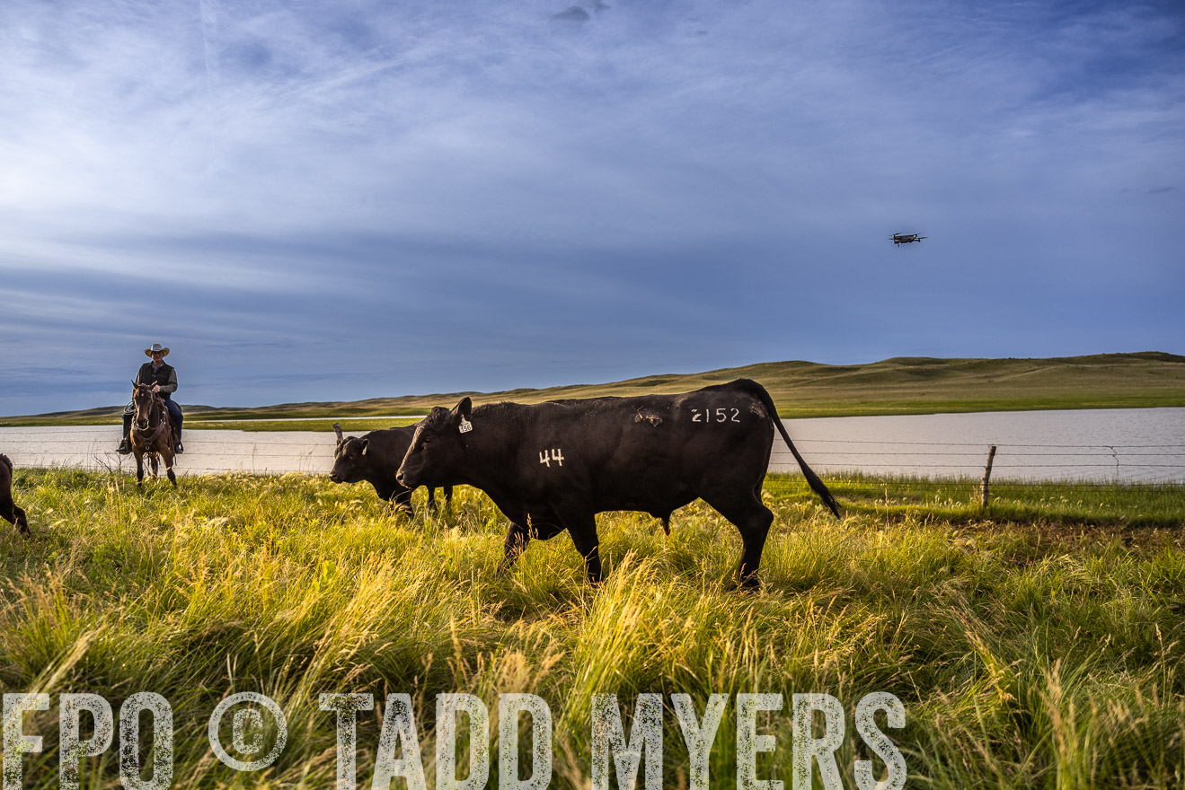 TMyers_PP_VintonRanch_Nebraska_June2024-518179