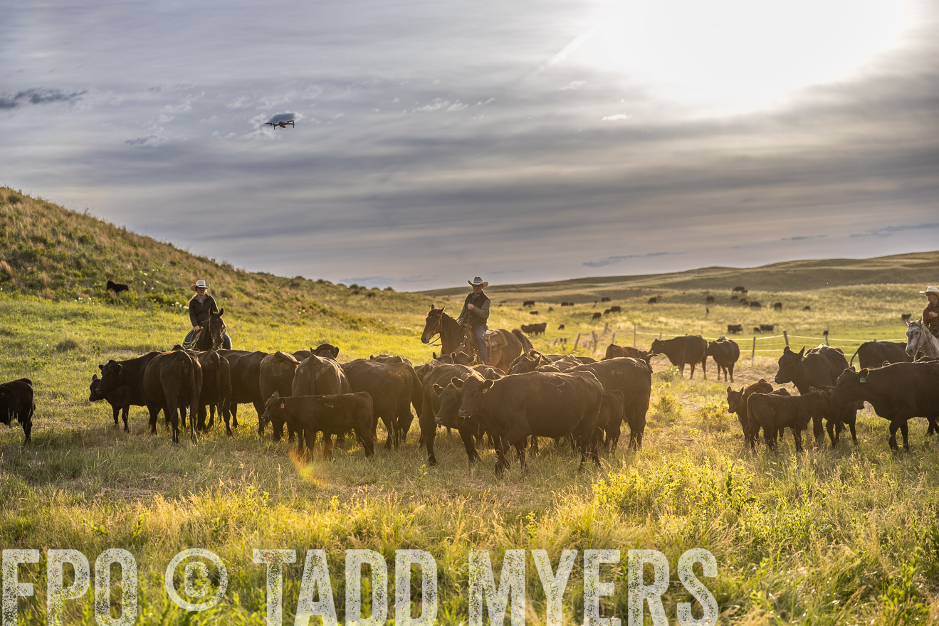 TMyers_PP_VintonRanch_Nebraska_June2024-518195