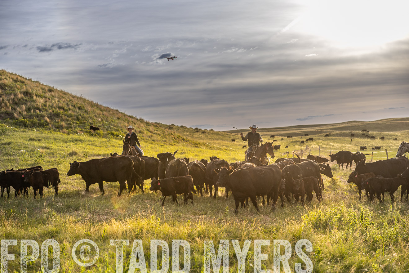 TMyers_PP_VintonRanch_Nebraska_June2024-518198