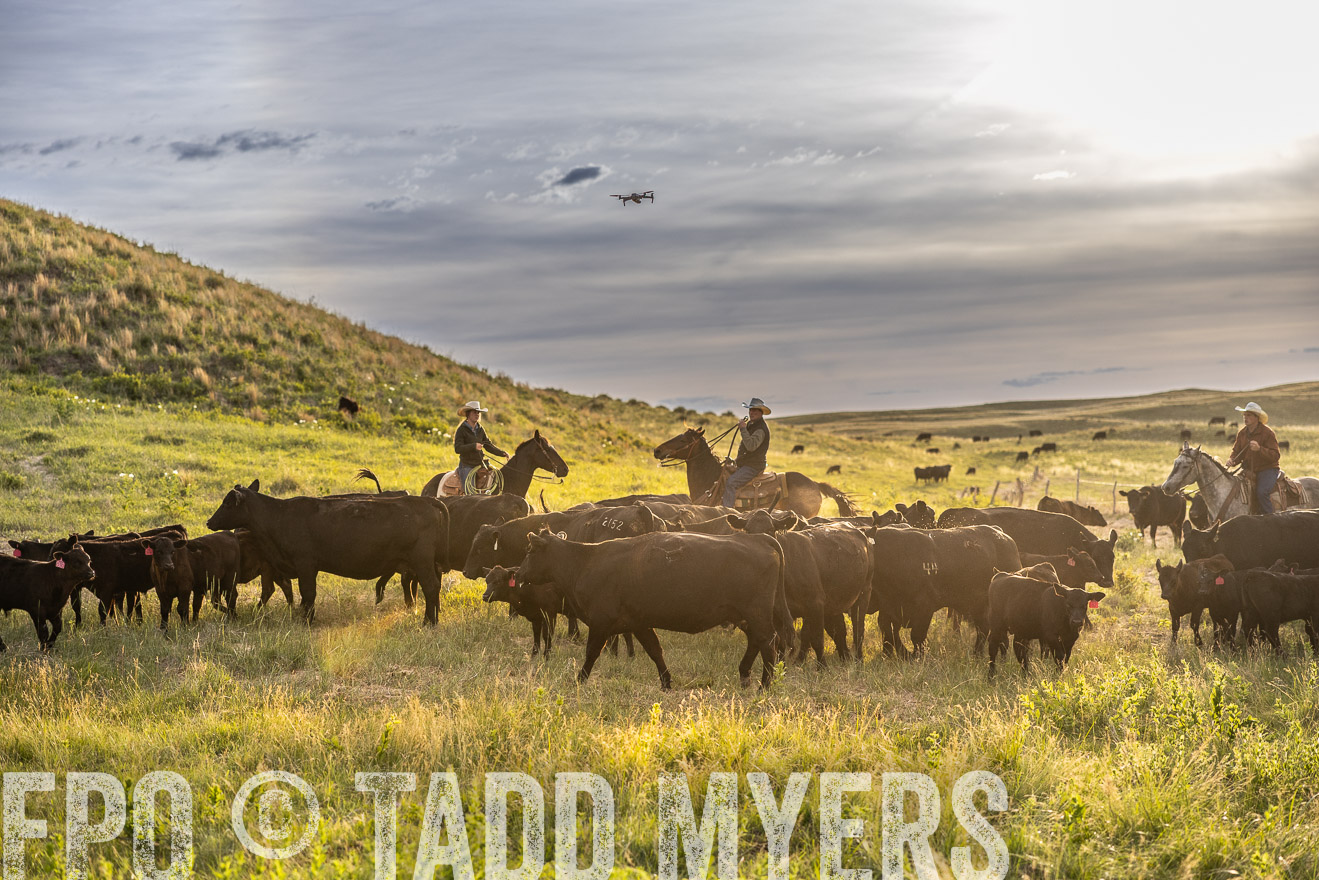 TMyers_PP_VintonRanch_Nebraska_June2024-518203