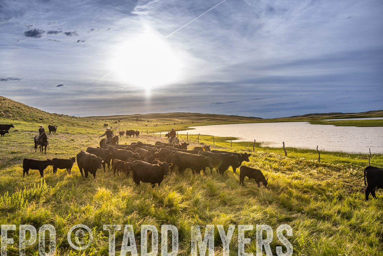 TMyers_PP_VintonRanch_Nebraska_June2024-518228