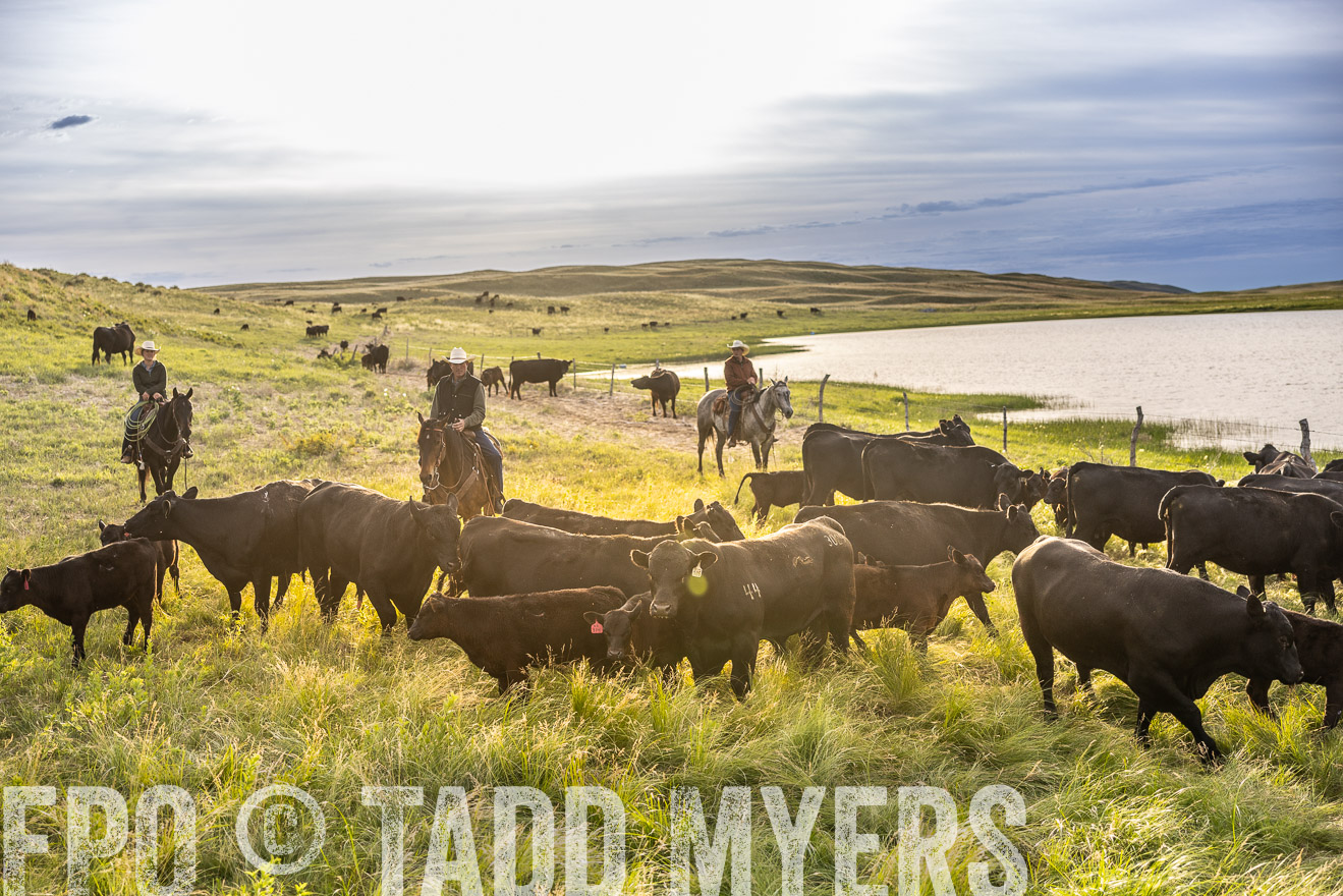 TMyers_PP_VintonRanch_Nebraska_June2024-518249