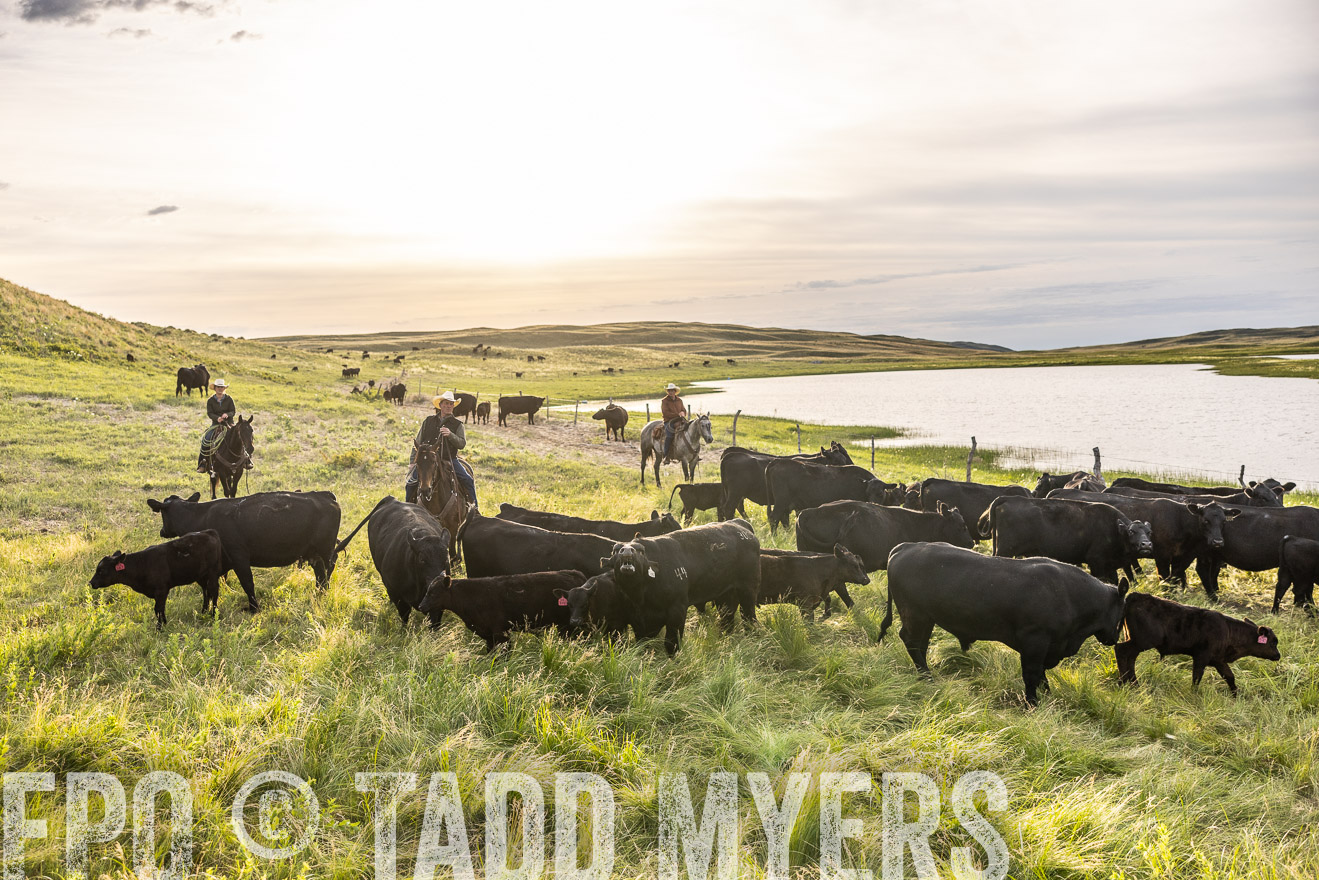 TMyers_PP_VintonRanch_Nebraska_June2024-518252