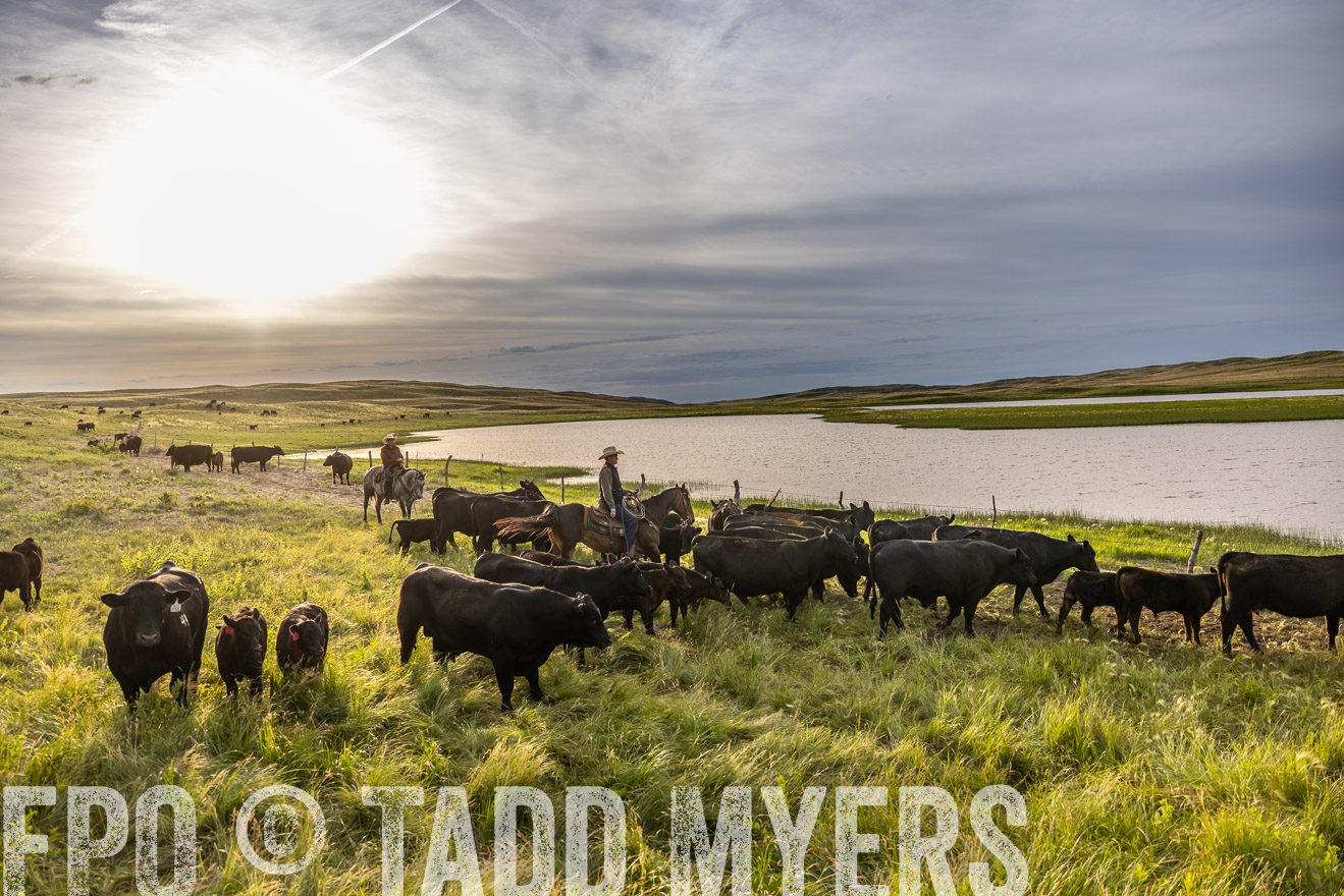 TMyers_PP_VintonRanch_Nebraska_June2024-518263