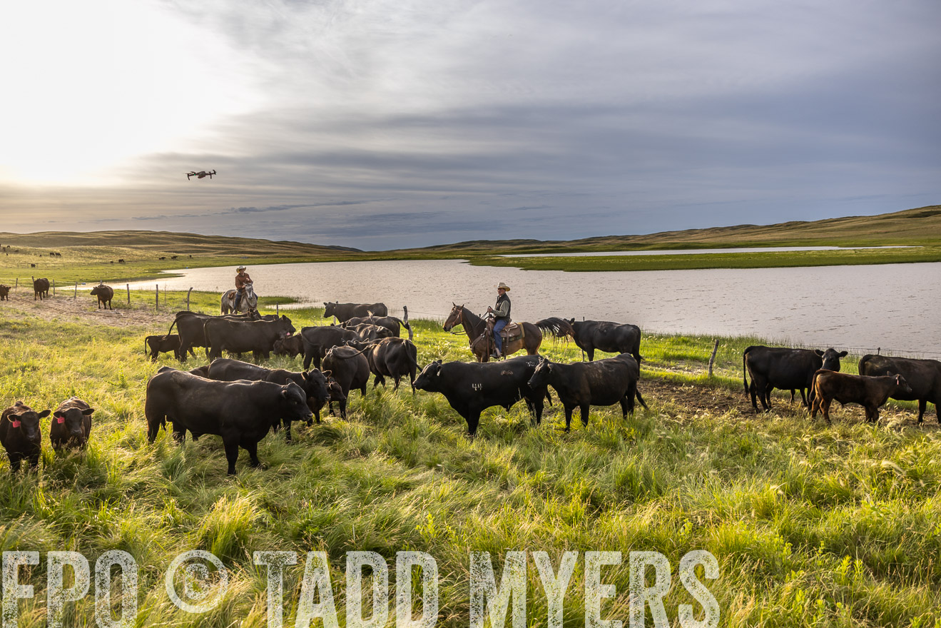 TMyers_PP_VintonRanch_Nebraska_June2024-518270