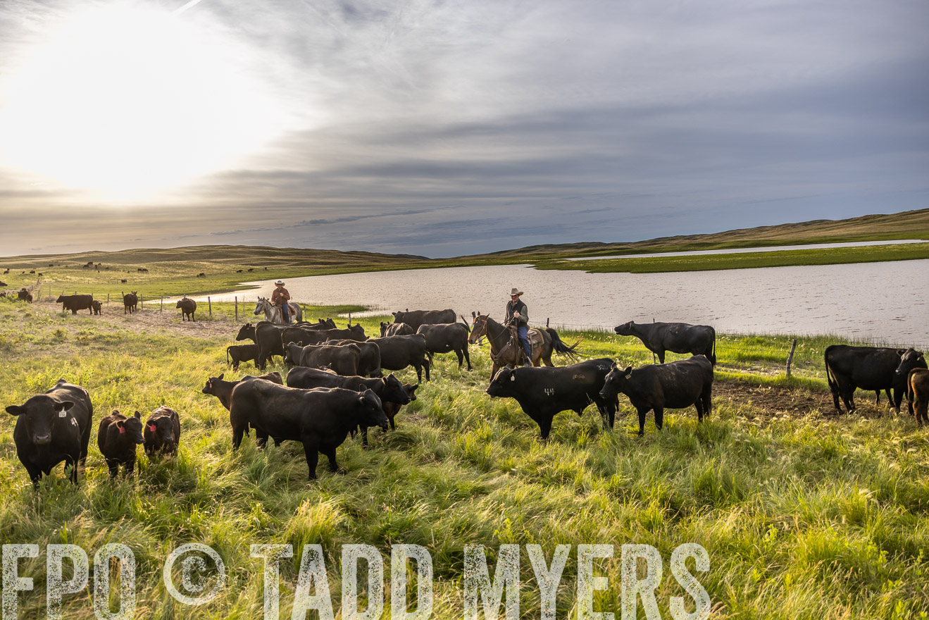 TMyers_PP_VintonRanch_Nebraska_June2024-518271
