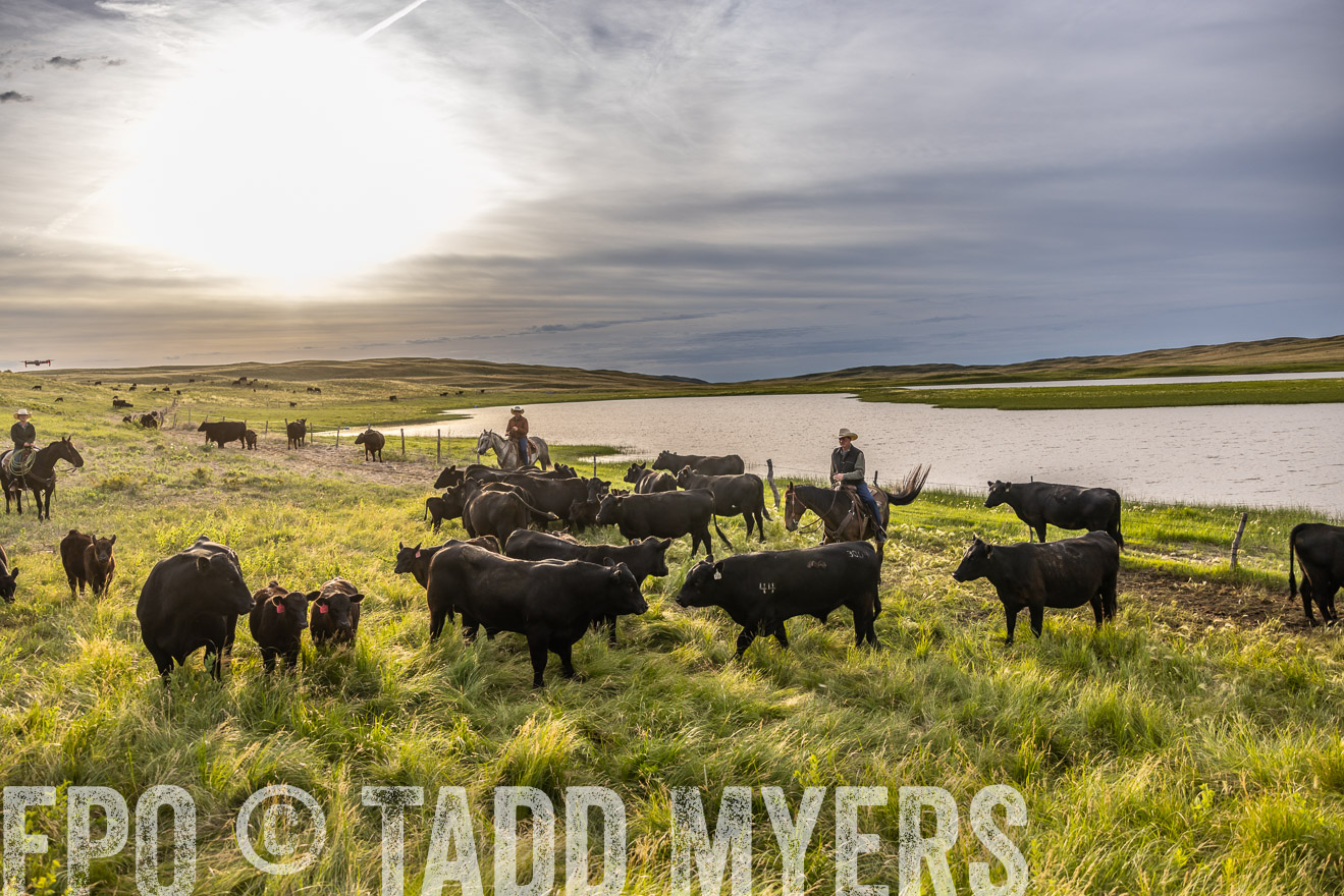TMyers_PP_VintonRanch_Nebraska_June2024-518279
