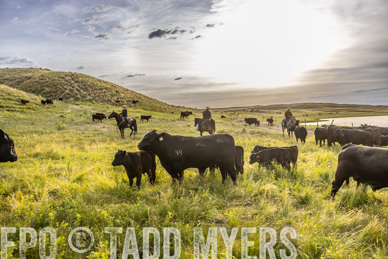 TMyers_PP_VintonRanch_Nebraska_June2024-518293