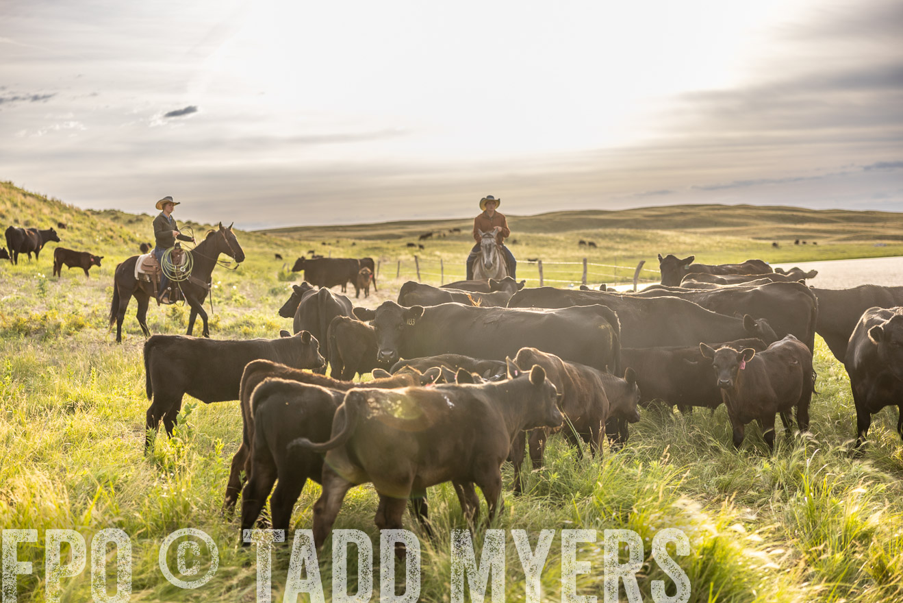 TMyers_PP_VintonRanch_Nebraska_June2024-518384