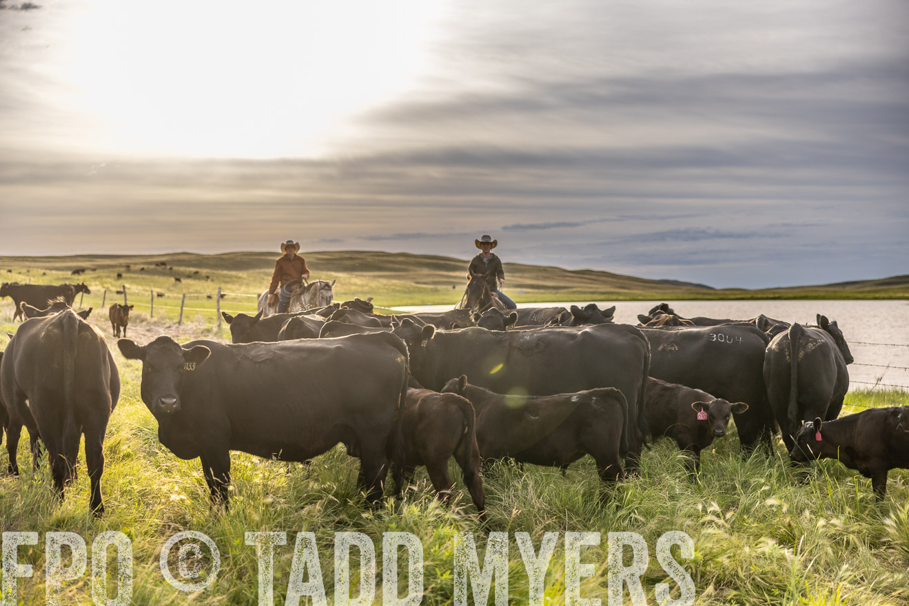 TMyers_PP_VintonRanch_Nebraska_June2024-518413