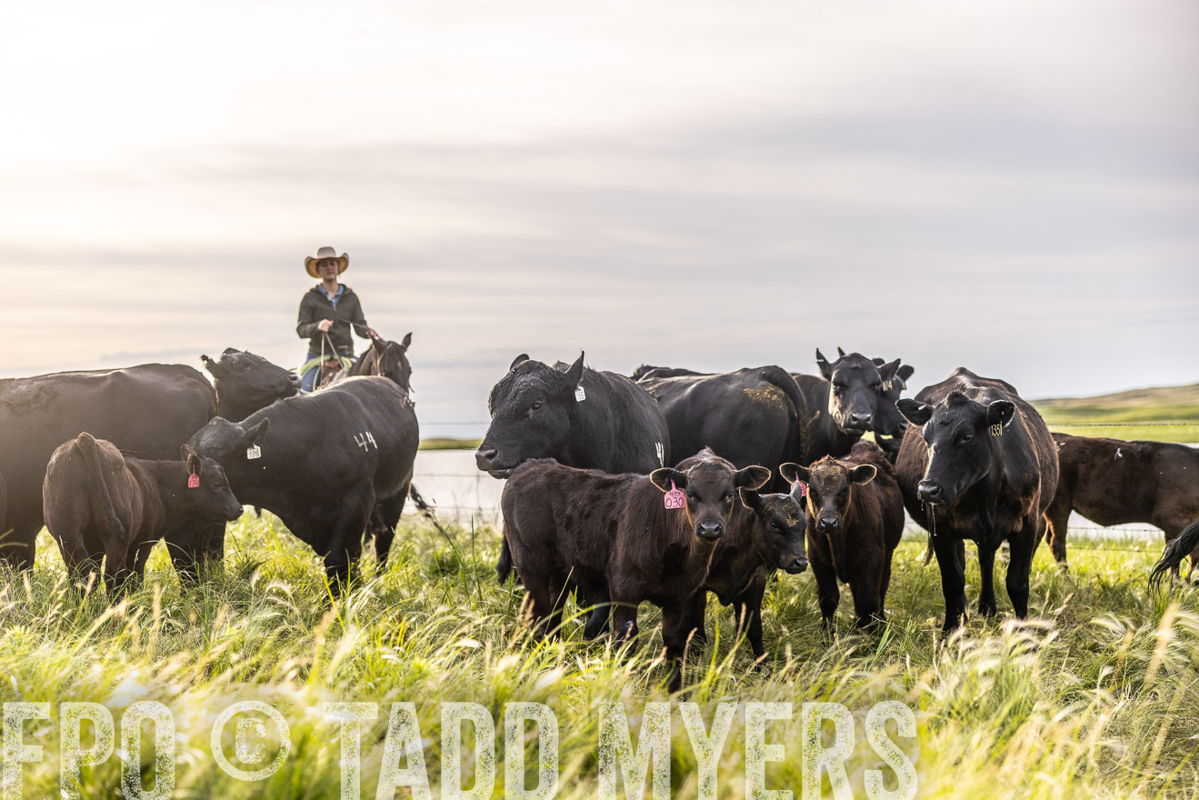 TMyers_PP_VintonRanch_Nebraska_June2024-518425
