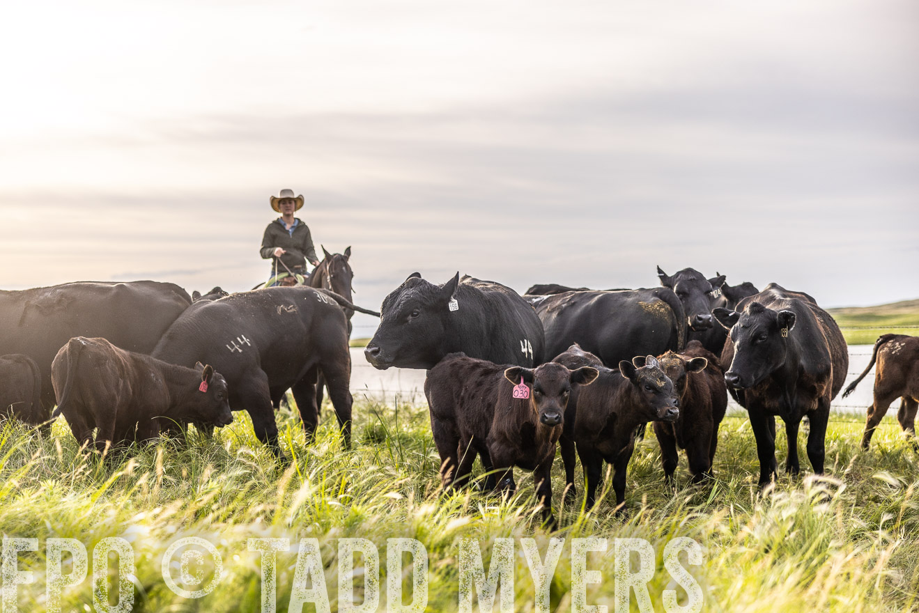 TMyers_PP_VintonRanch_Nebraska_June2024-518427