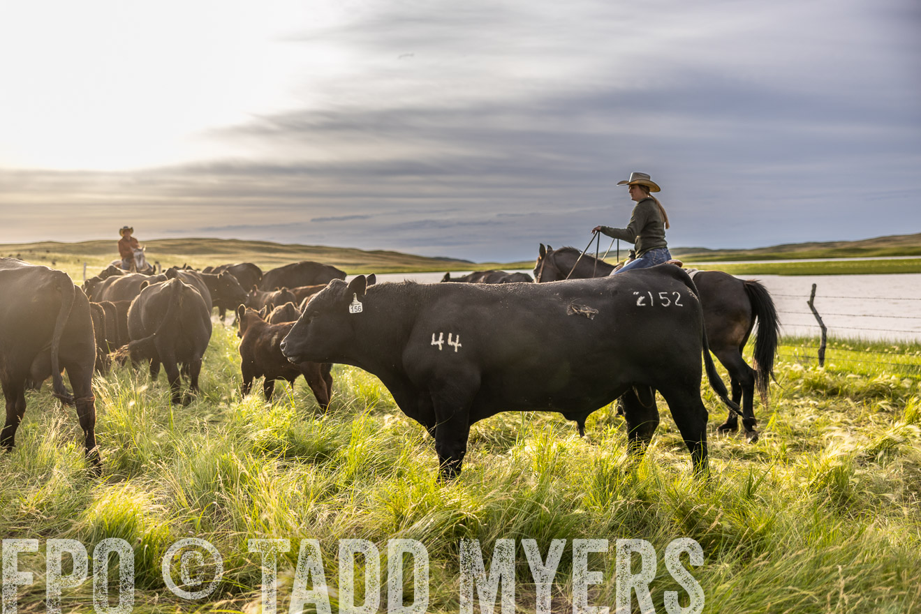 TMyers_PP_VintonRanch_Nebraska_June2024-518490