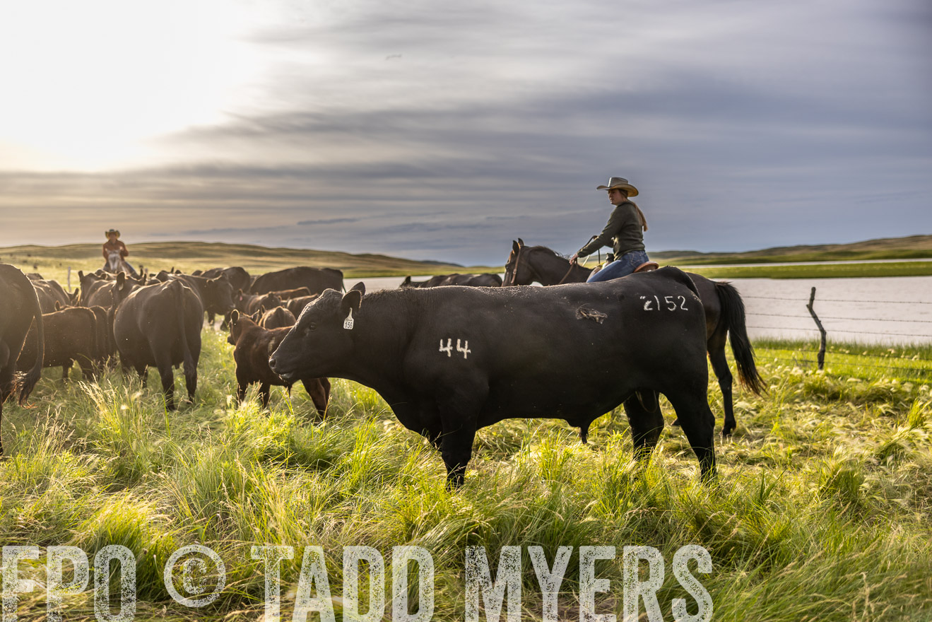 TMyers_PP_VintonRanch_Nebraska_June2024-518492
