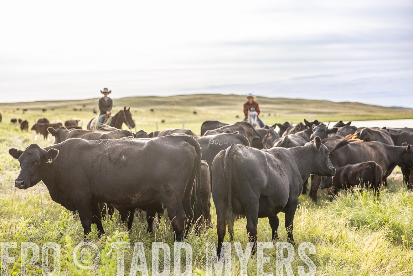 TMyers_PP_VintonRanch_Nebraska_June2024-518604