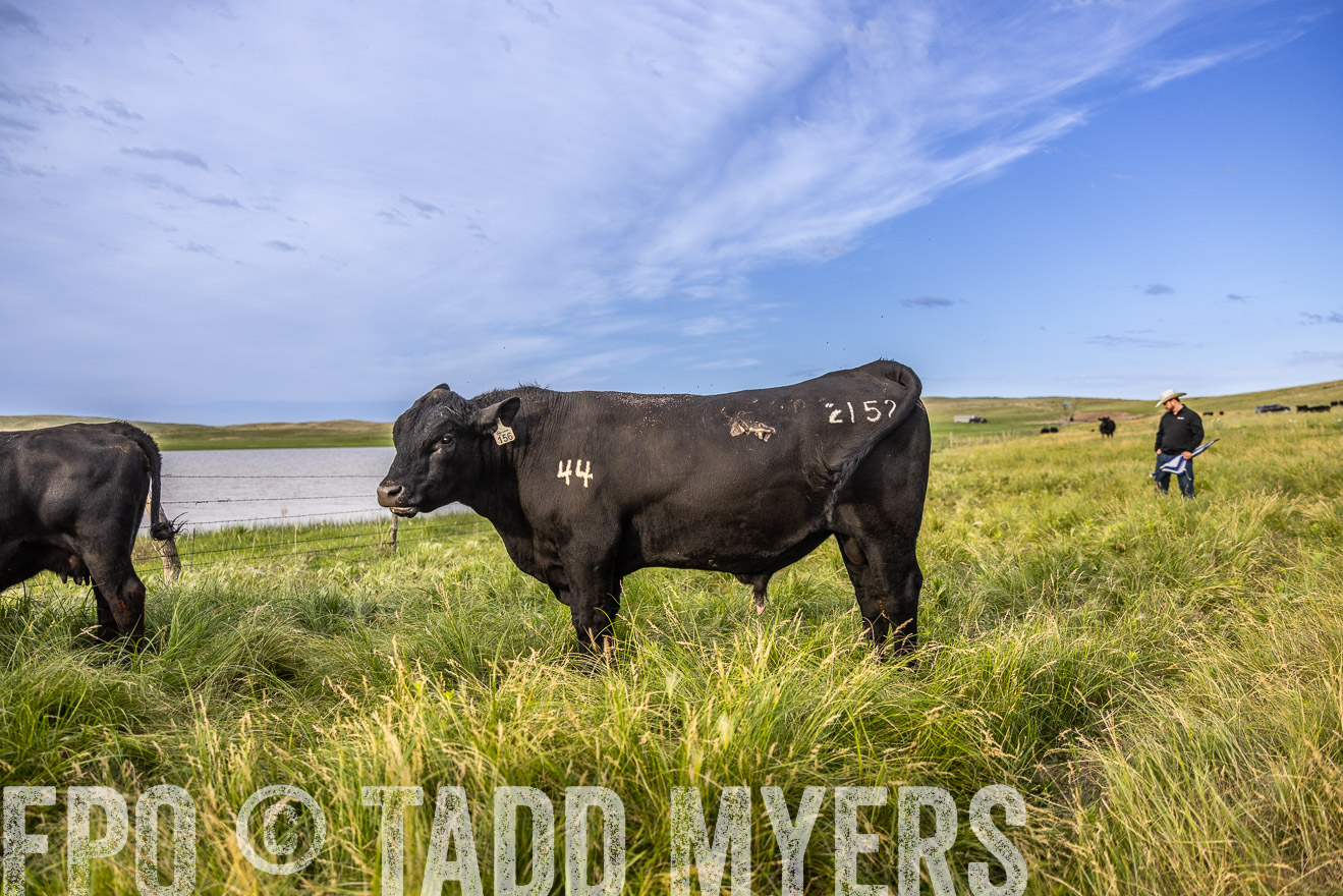 TMyers_PP_VintonRanch_Nebraska_June2024-518665