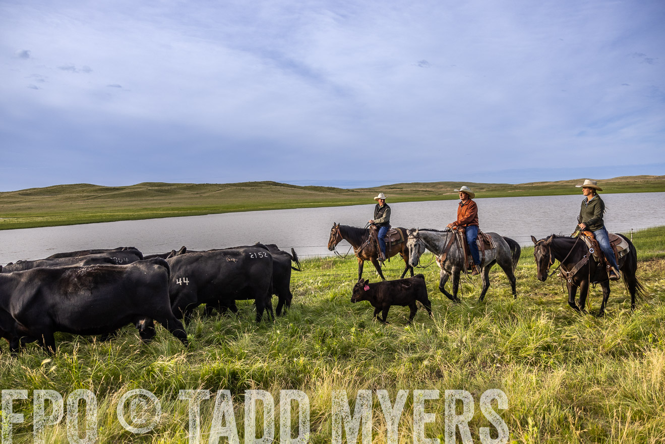 TMyers_PP_VintonRanch_Nebraska_June2024-518904