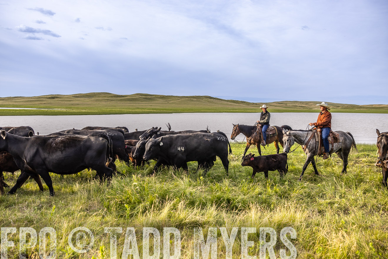 TMyers_PP_VintonRanch_Nebraska_June2024-518906