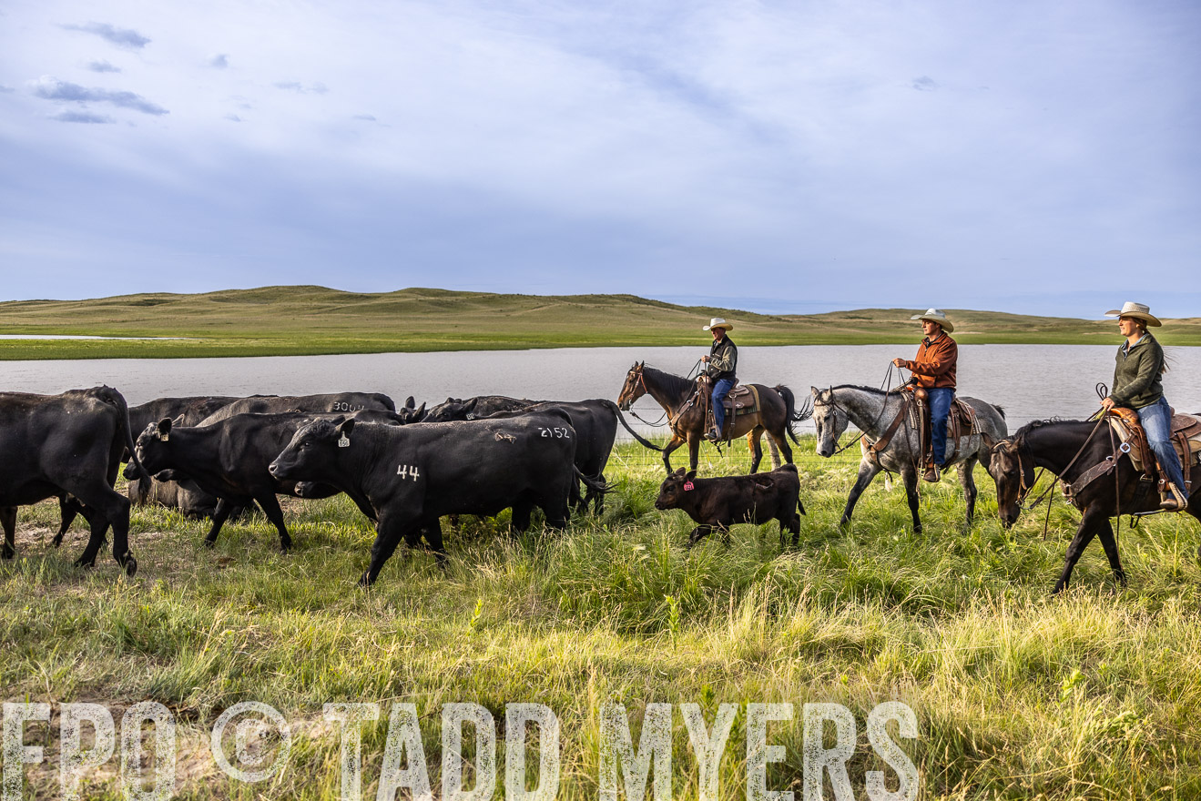 TMyers_PP_VintonRanch_Nebraska_June2024-518910