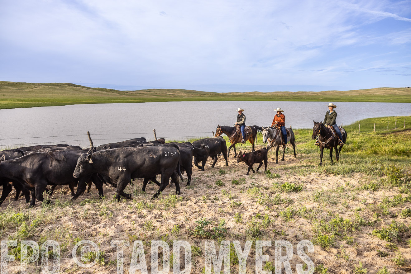 TMyers_PP_VintonRanch_Nebraska_June2024-518916