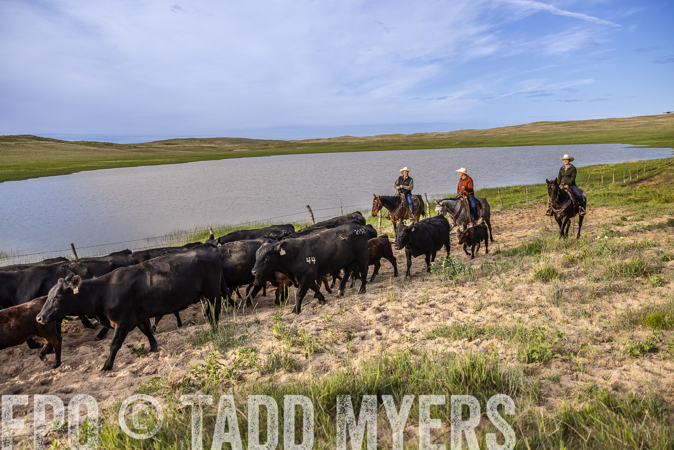 TMyers_PP_VintonRanch_Nebraska_June2024-518918