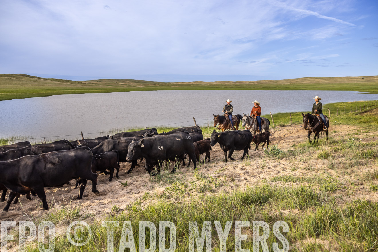 TMyers_PP_VintonRanch_Nebraska_June2024-518919