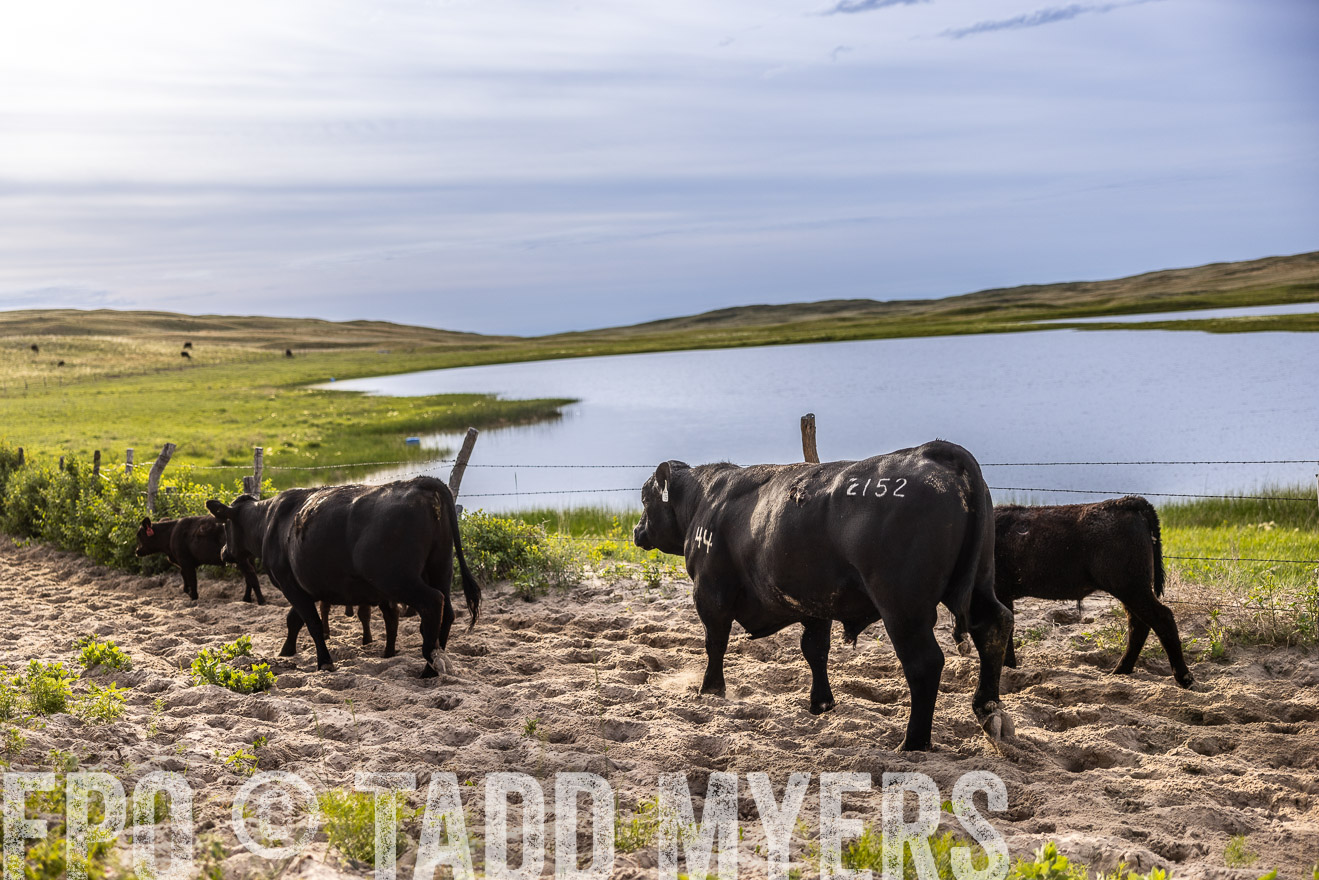 TMyers_PP_VintonRanch_Nebraska_June2024-518970