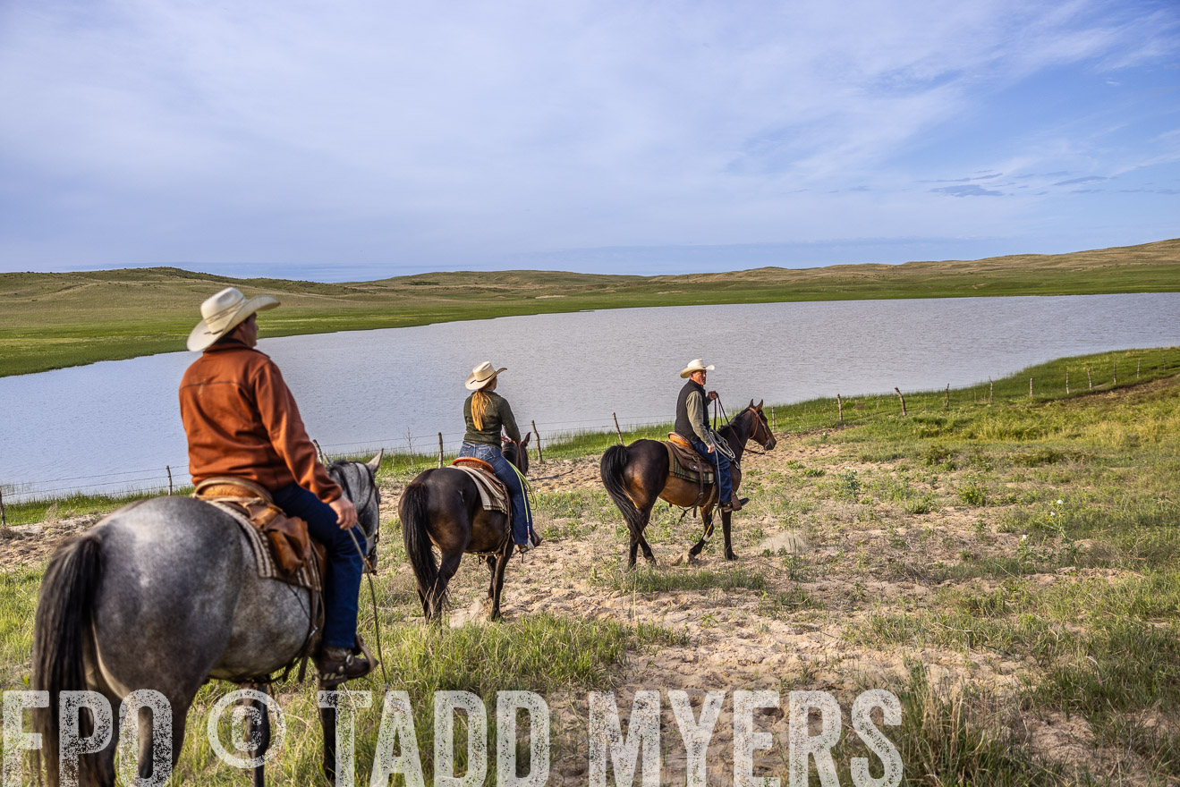 TMyers_PP_VintonRanch_Nebraska_June2024-519065
