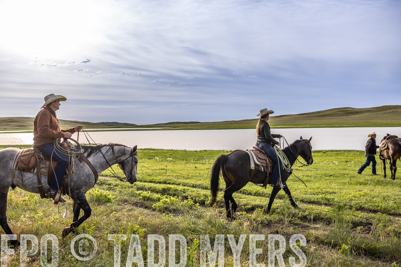 TMyers_PP_VintonRanch_Nebraska_June2024-519075