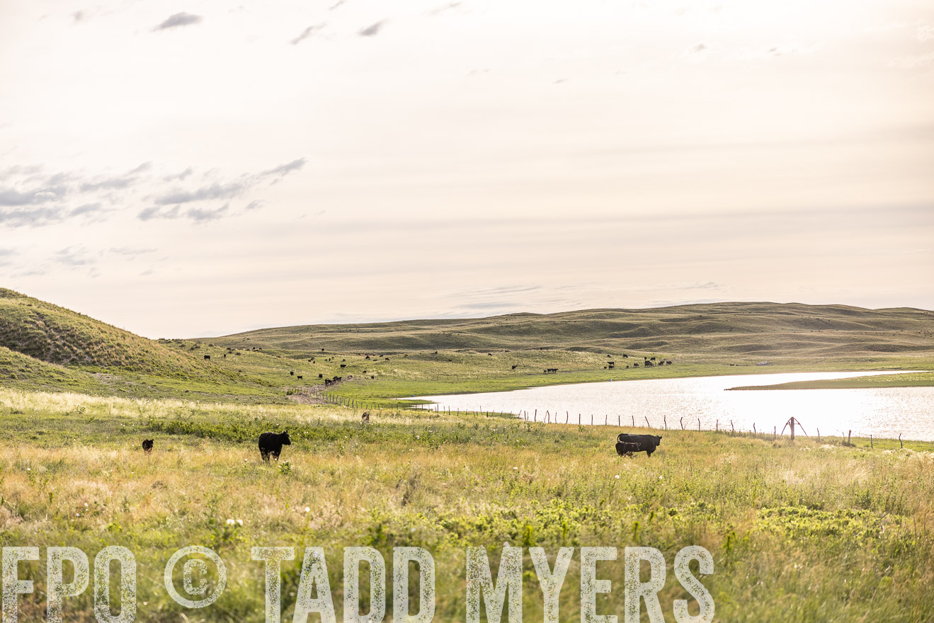 TMyers_PP_VintonRanch_Nebraska_June2024-519092