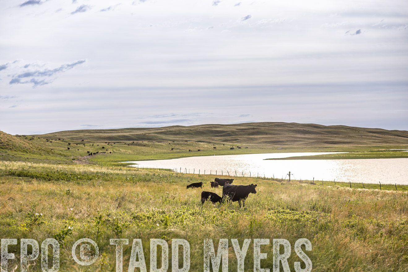 TMyers_PP_VintonRanch_Nebraska_June2024-519107