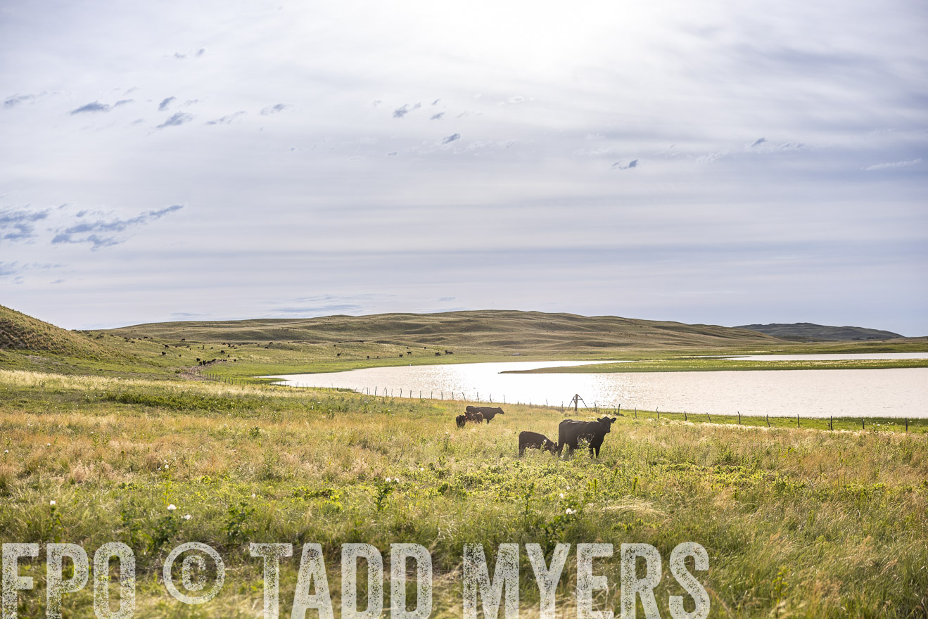 TMyers_PP_VintonRanch_Nebraska_June2024-519112