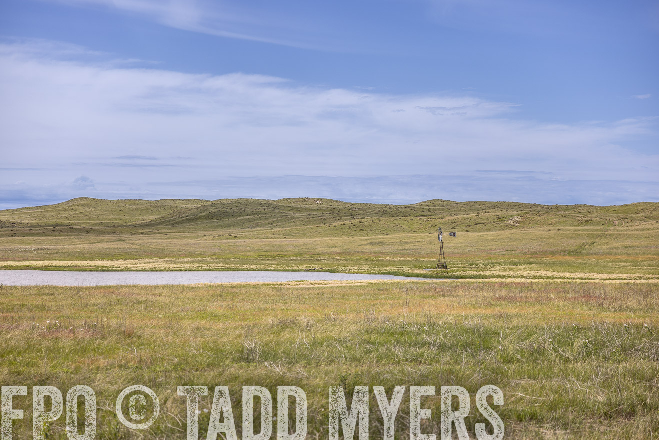 TMyers_PP_VintonRanch_Nebraska_June2024-519635