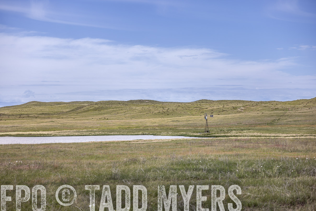 TMyers_PP_VintonRanch_Nebraska_June2024-519644
