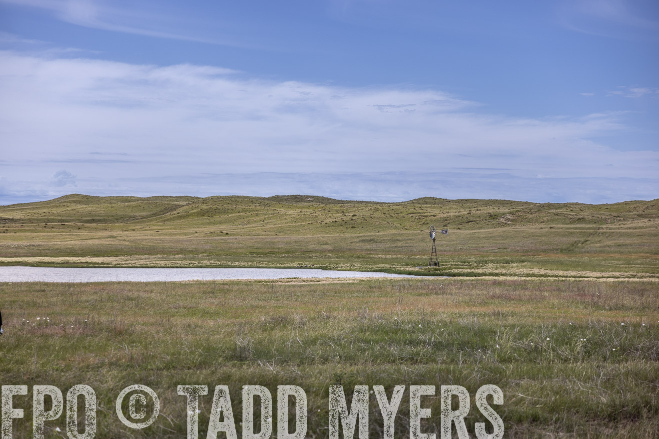 TMyers_PP_VintonRanch_Nebraska_June2024-519649