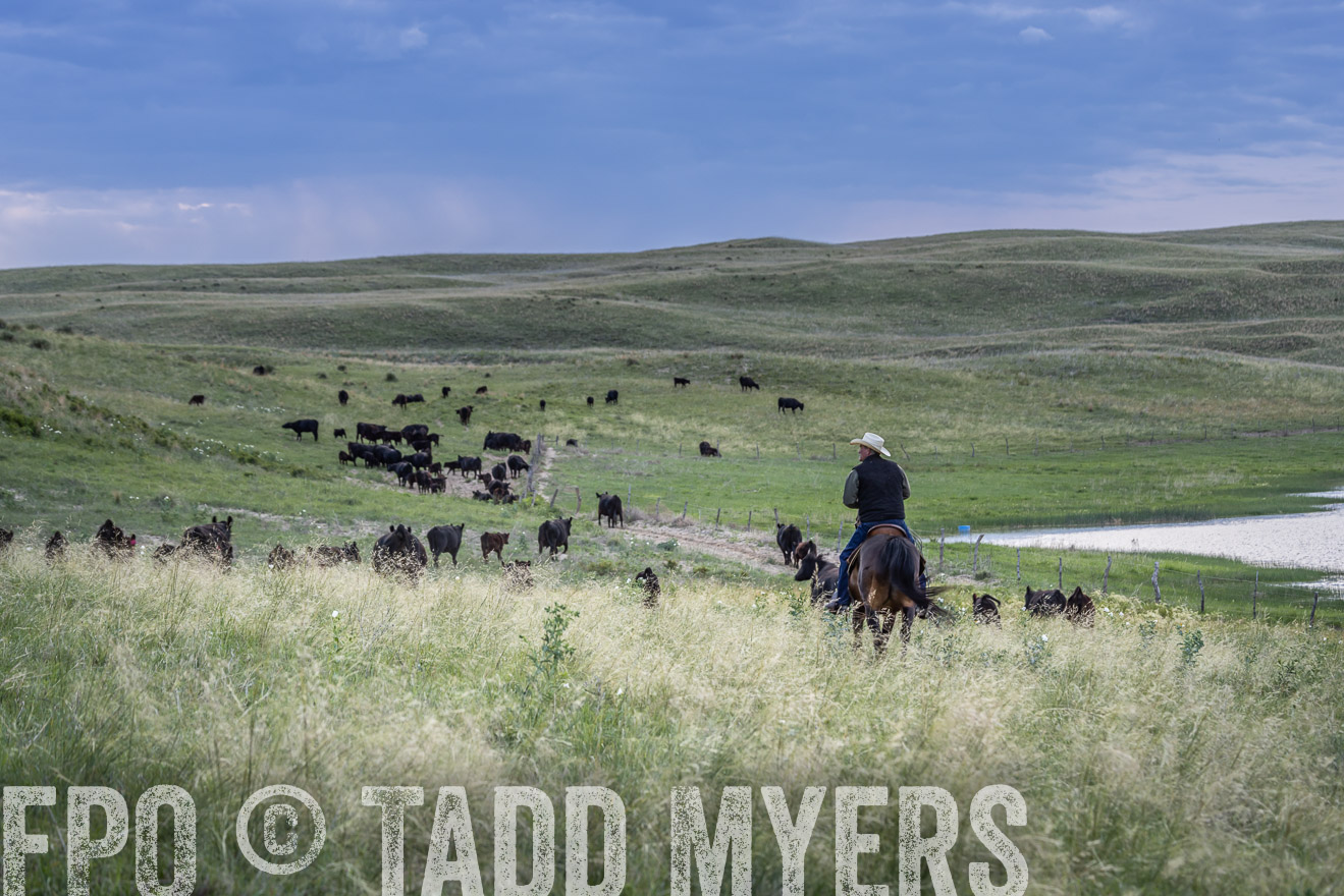 TMyers_PP_VintonRanch_Nebraska_June2024-524760