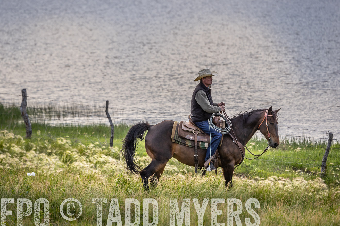 TMyers_PP_VintonRanch_Nebraska_June2024-524783