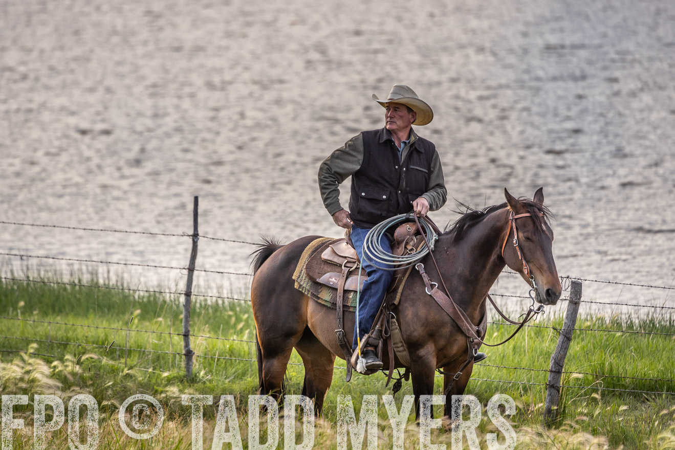 TMyers_PP_VintonRanch_Nebraska_June2024-524785