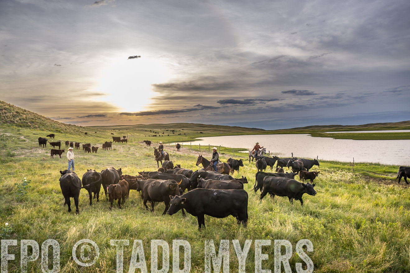 TMyers_PP_VintonRanch_Nebraska_June2024-524805