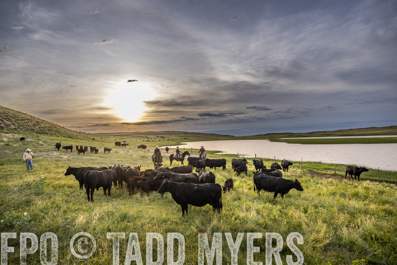 TMyers_PP_VintonRanch_Nebraska_June2024-524837