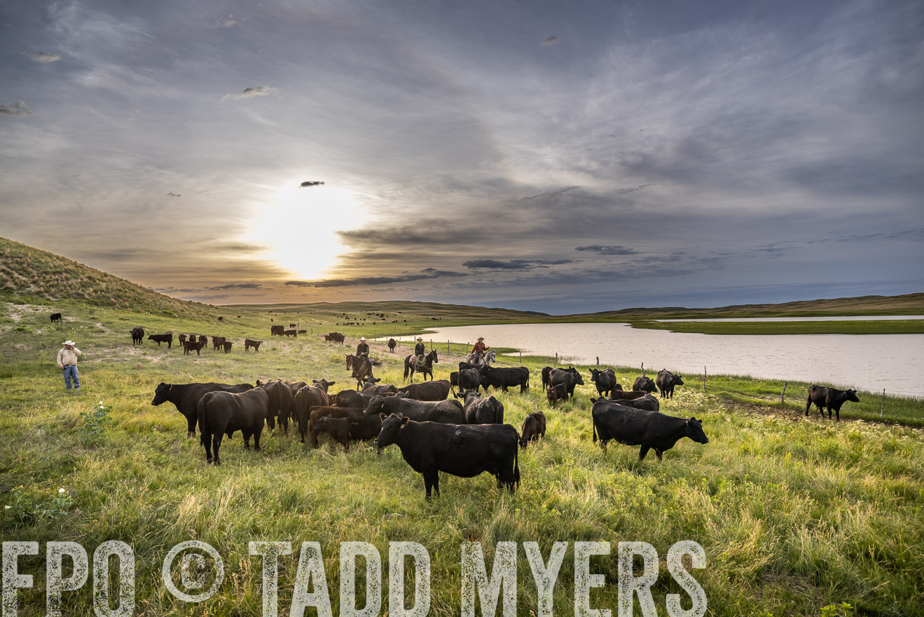 TMyers_PP_VintonRanch_Nebraska_June2024-524842