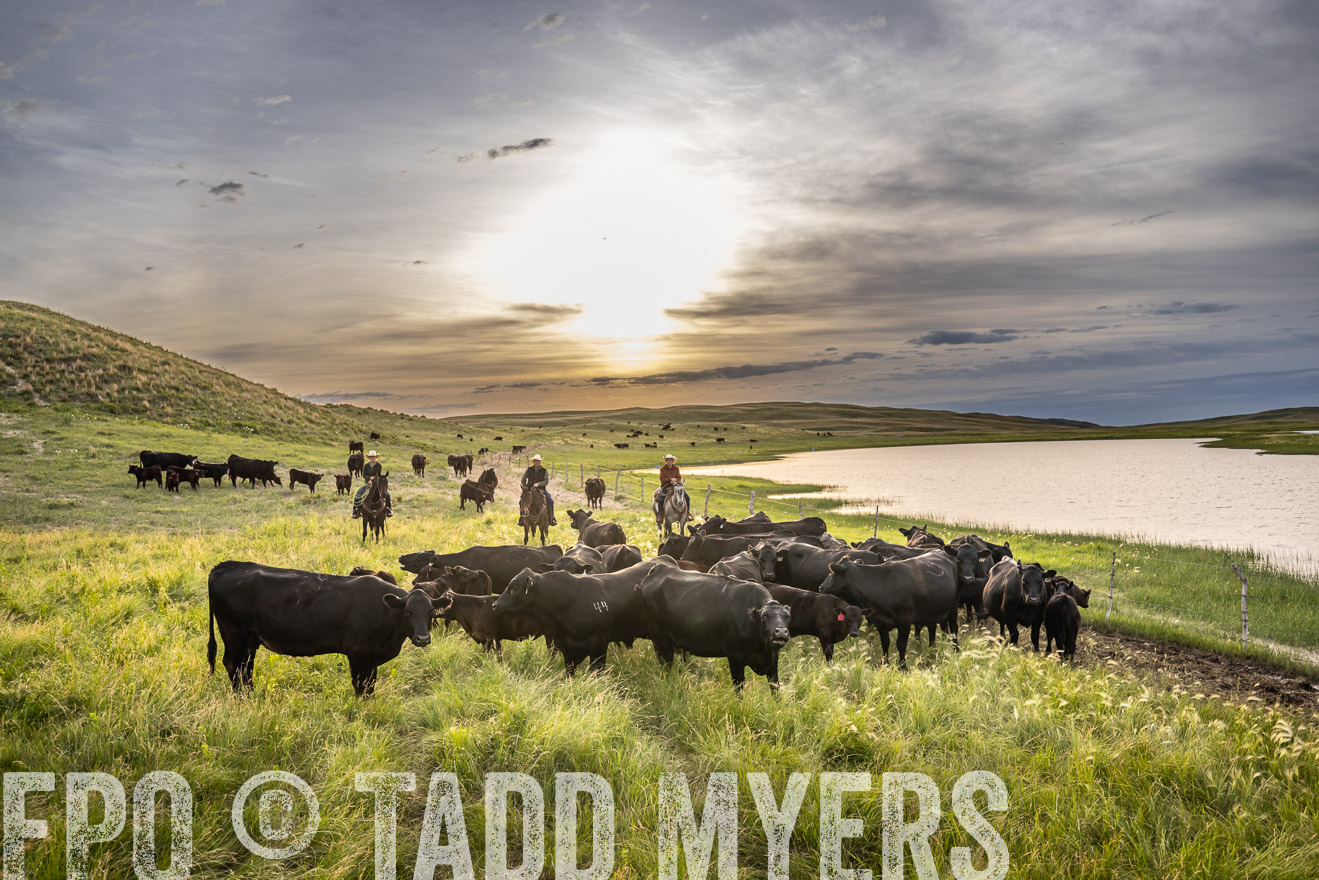 TMyers_PP_VintonRanch_Nebraska_June2024-524856