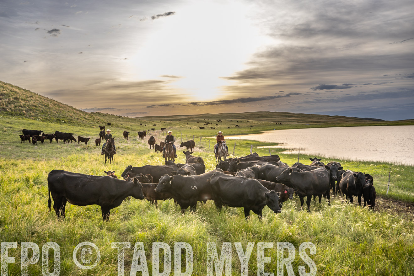 TMyers_PP_VintonRanch_Nebraska_June2024-524860