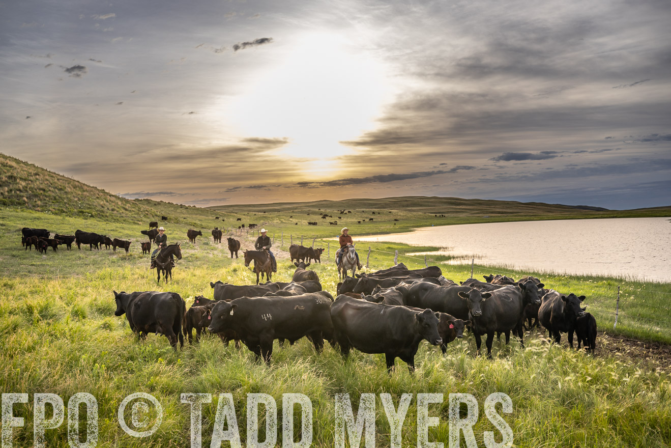 TMyers_PP_VintonRanch_Nebraska_June2024-524877